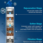 High Pressure Filtered 6 Spray Mode Showerhead