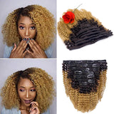 Ombre Curly Clip in Hair Extensions 4B 4C Afro Kinkys Curly Hair Extensions Clip in for Black Women 8A Virgin Natural Human Hair Full Head Kinky Hair Clip Ins Two Tone Ombre 120G #1B/99J AC 14Inch